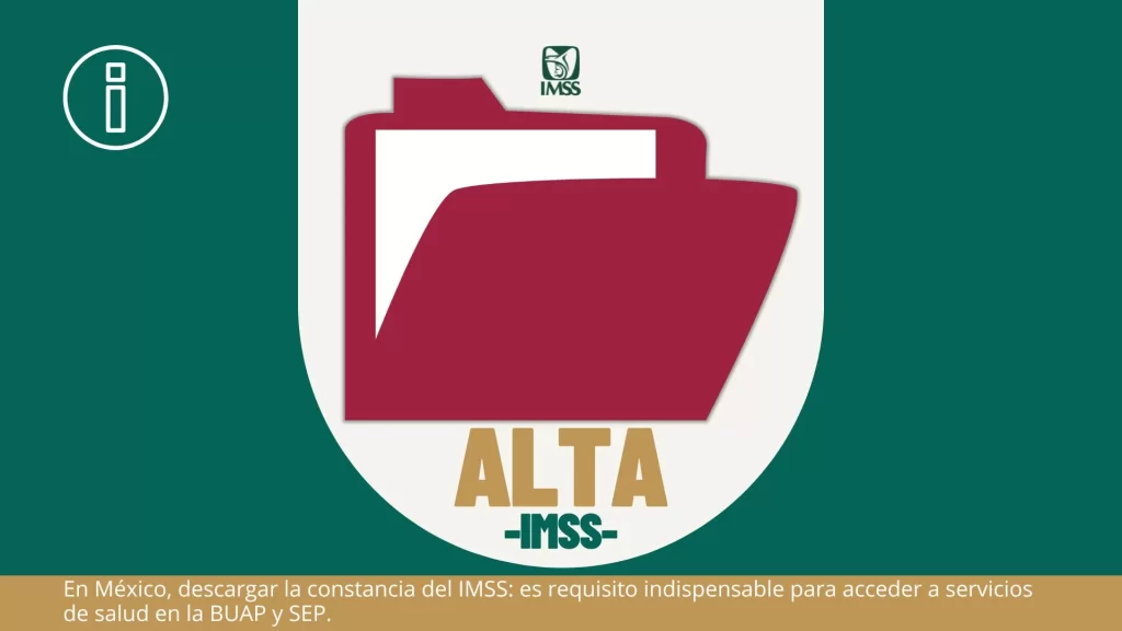 Constancia de vigencia de derechos IMSS